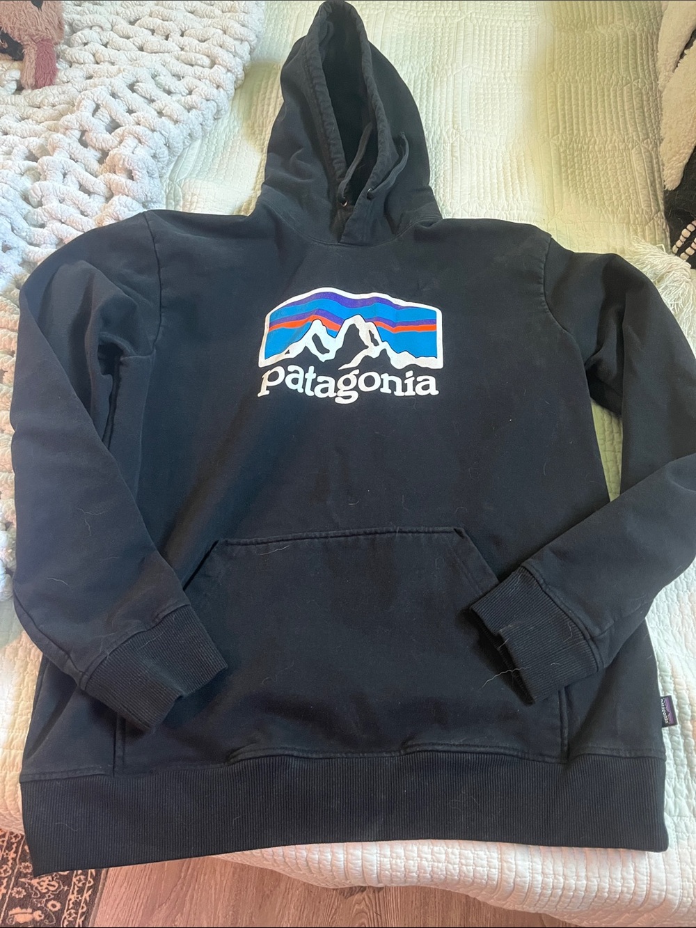 Patagonia Black Pullover Hoodie with Mountain Logo